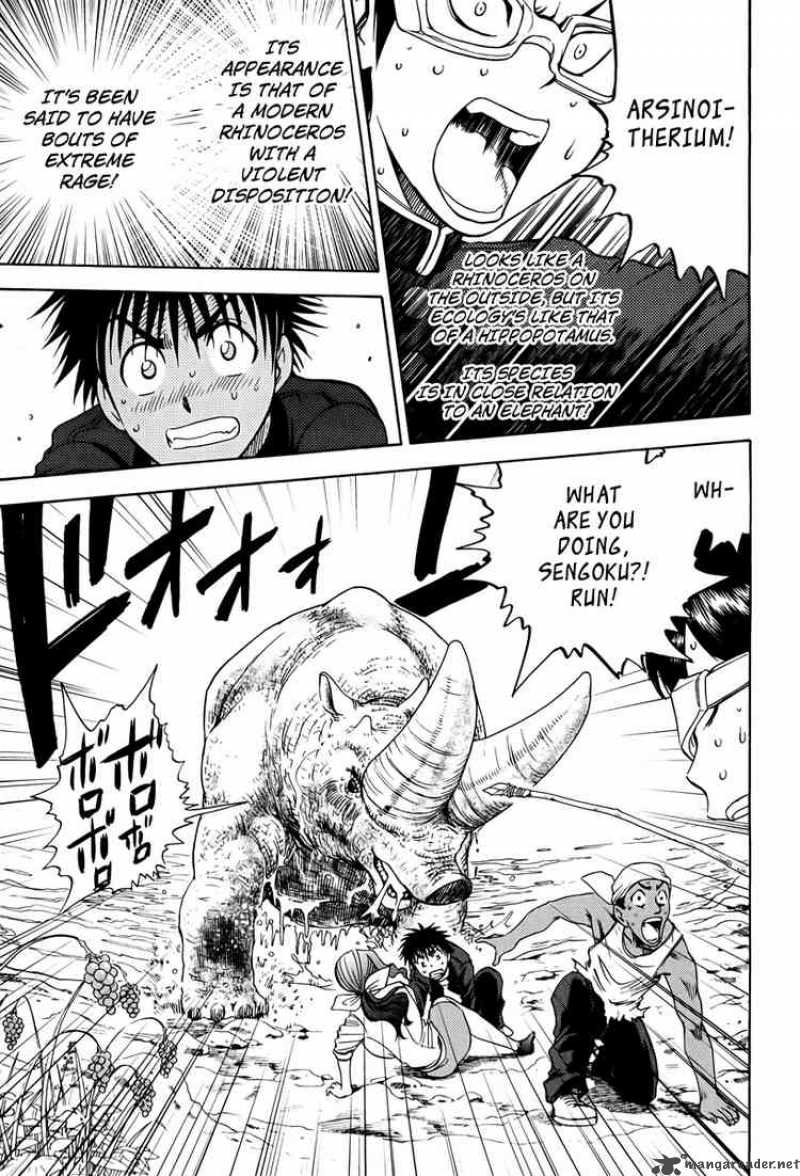 Cage Of Eden 13 9
