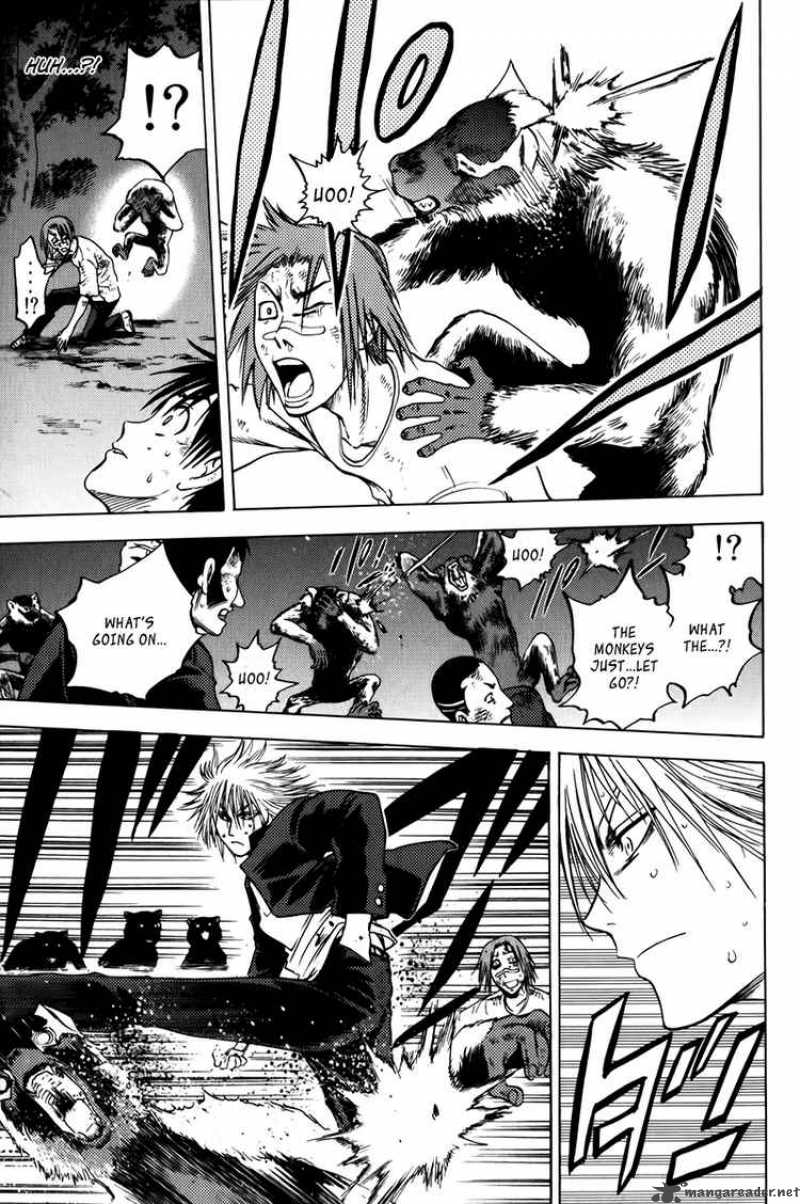 Cage Of Eden 15 5