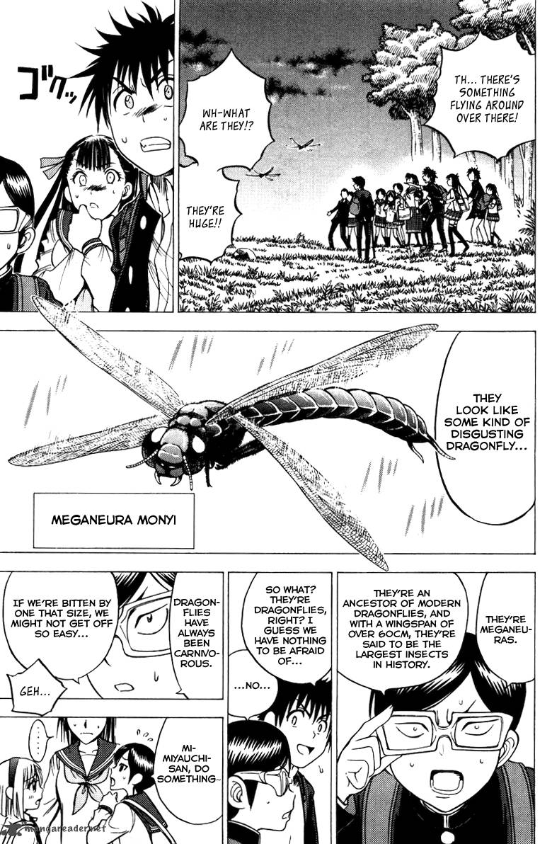 Cage Of Eden 74 5