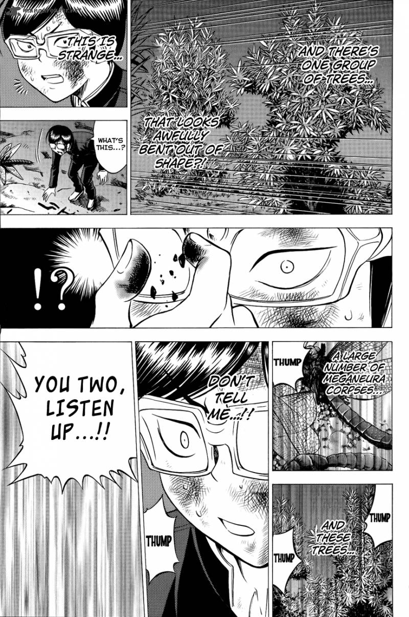 Cage Of Eden 80 10