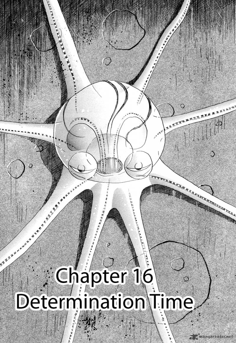 Cambrian 16 1