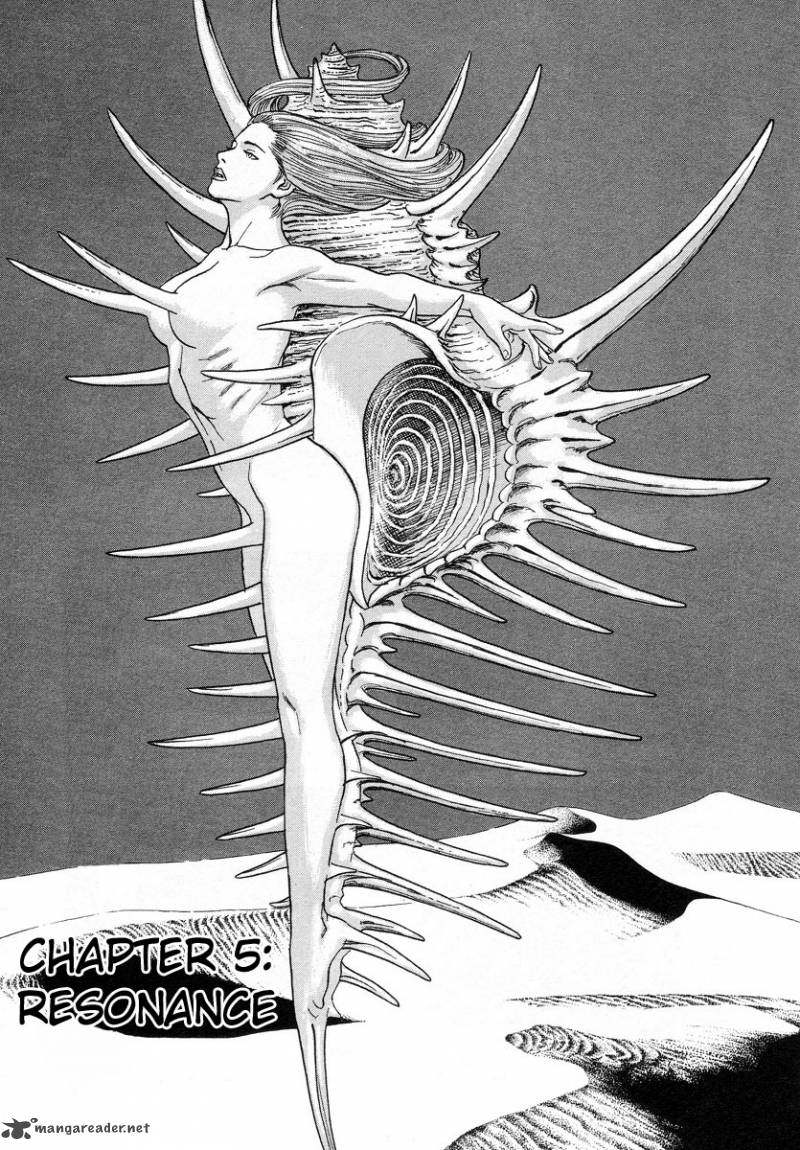 Cambrian 5 1