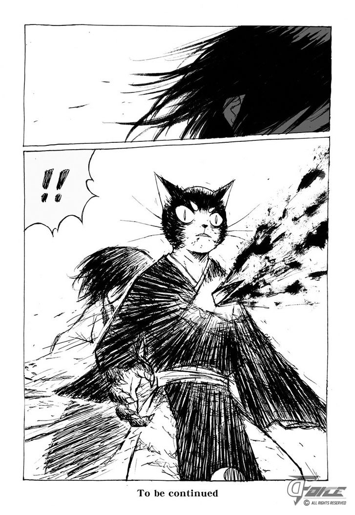 Cat And Fox 7 16