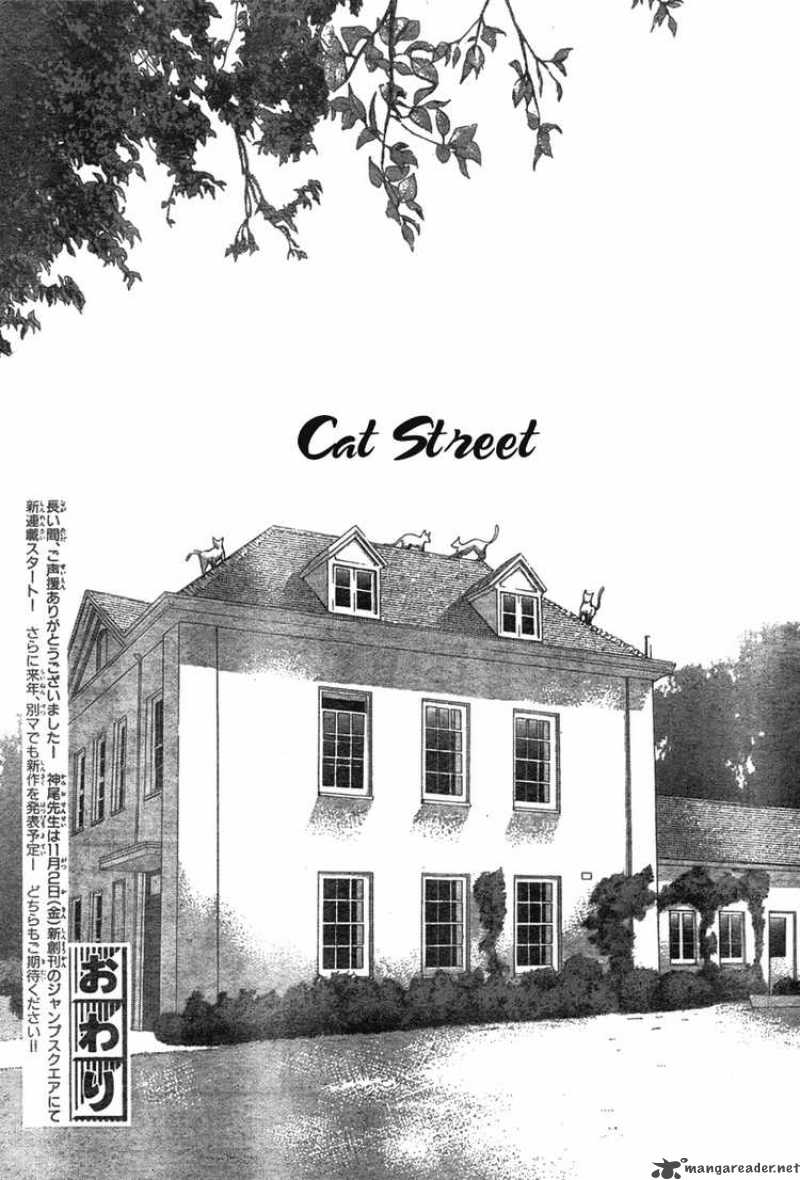 Cat Street 35 43