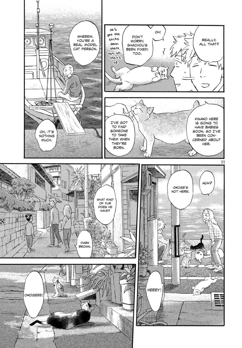 Cats Are Facing West 14 11