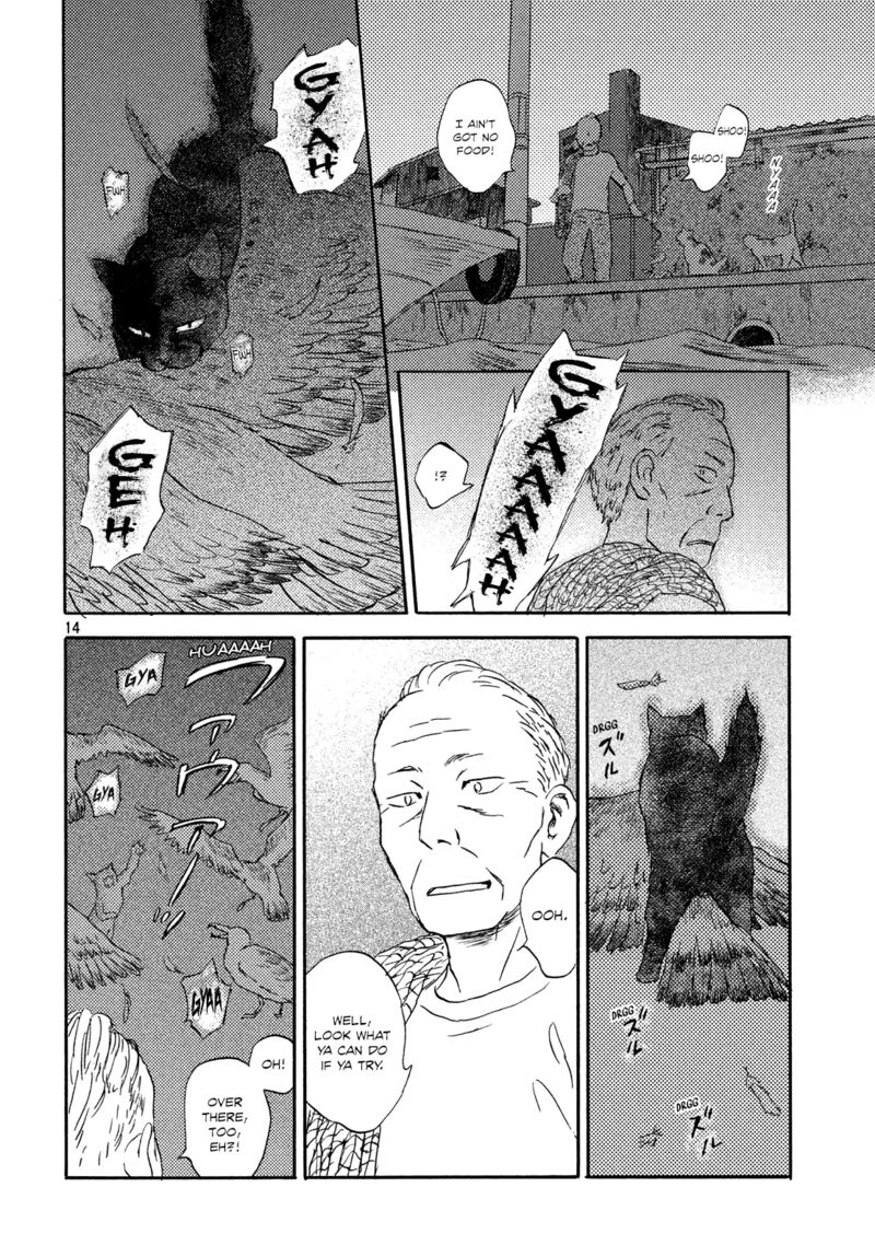 Cats Are Facing West 14 14