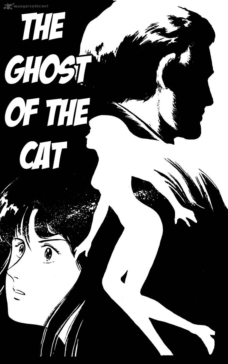 Cats Eye 12 1