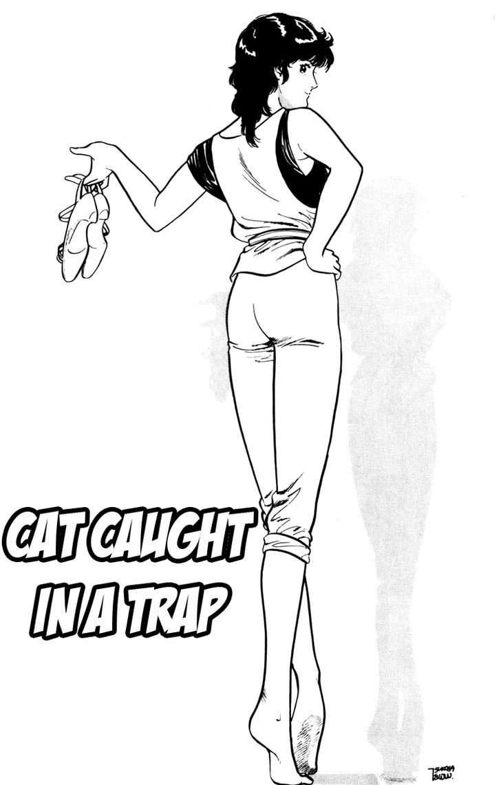 Cats Eye 126 1