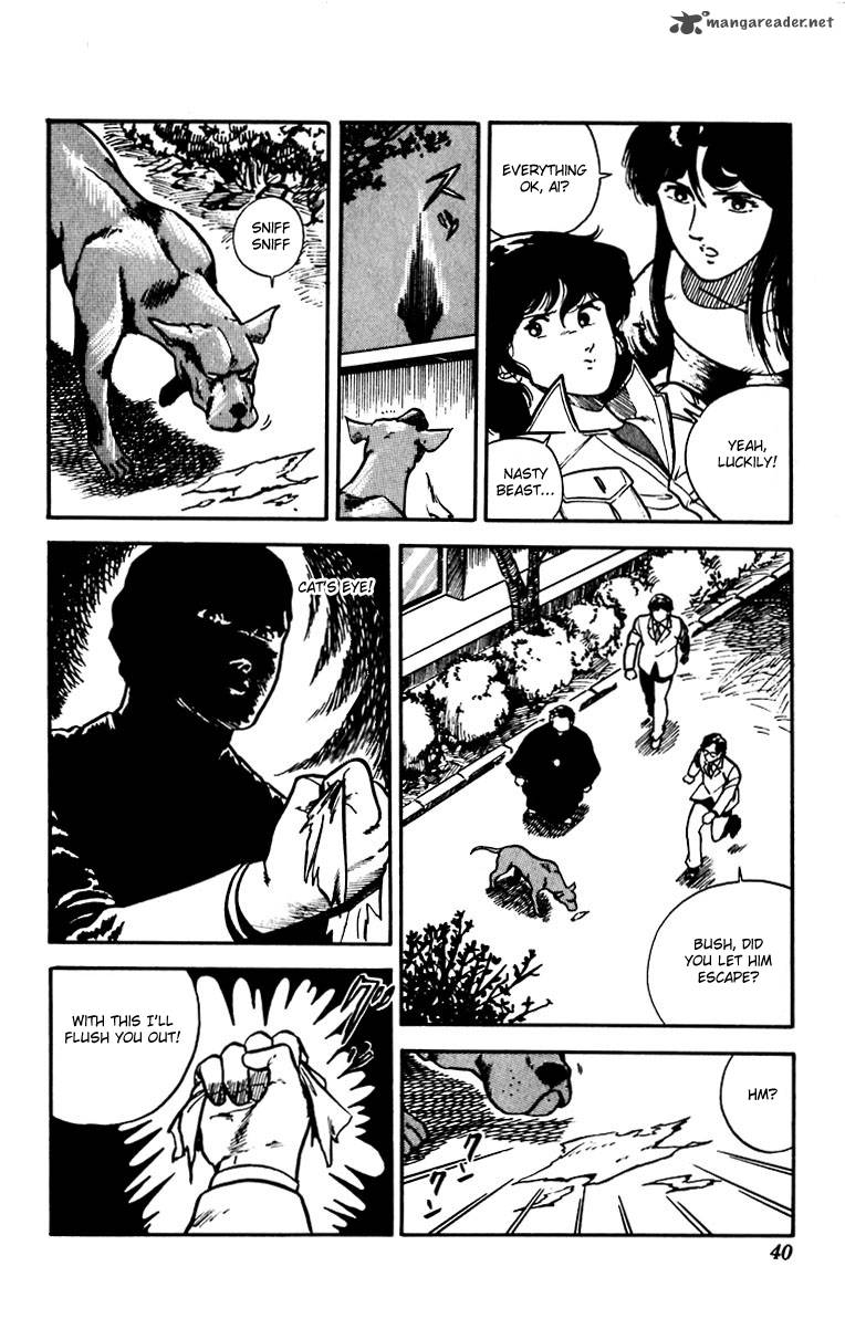 Cats Eye 16 12