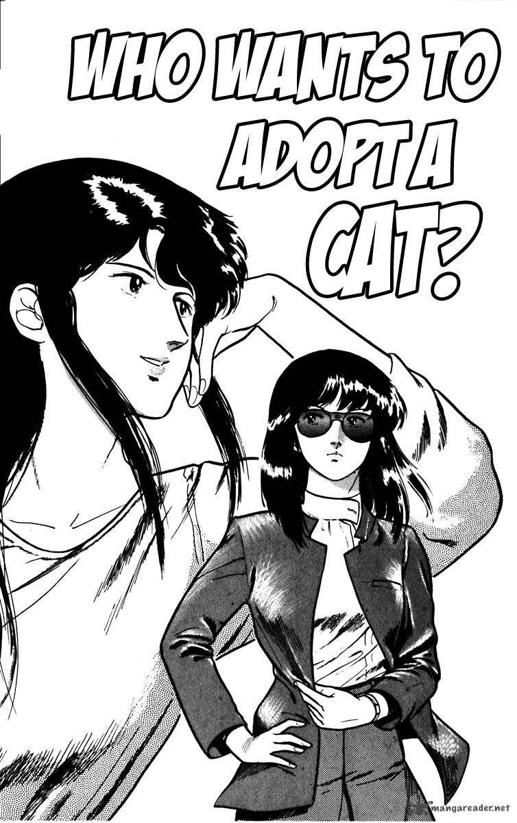 Cats Eye 6 1
