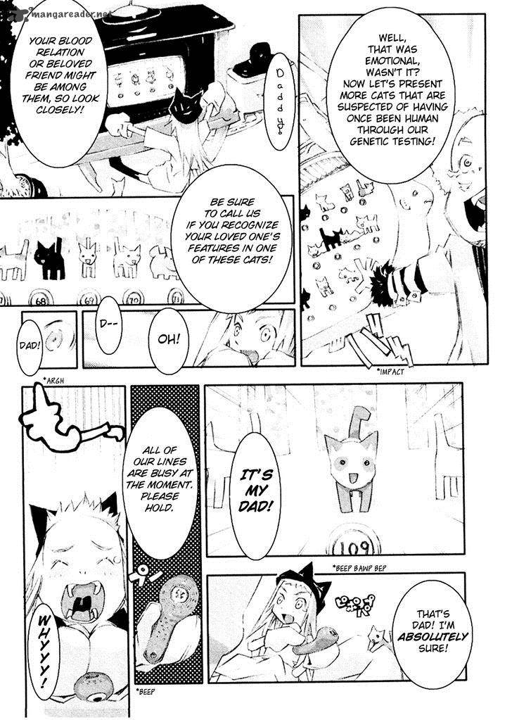 Cats World 2 7