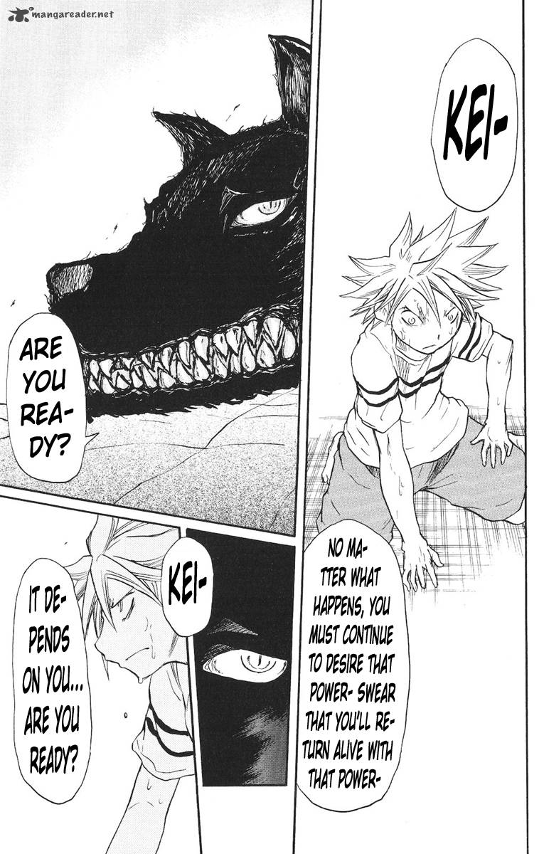 Cerberus 10 6