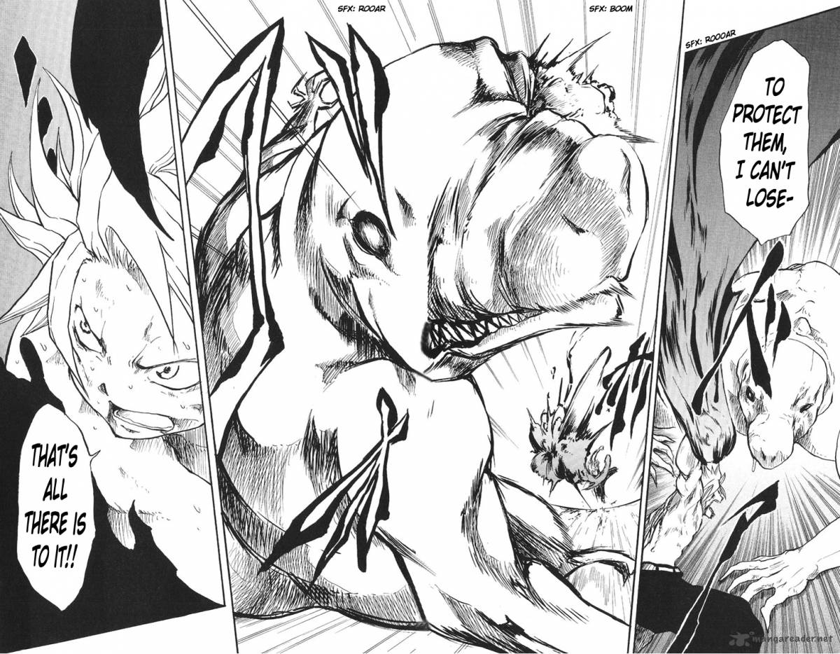 Cerberus 12 18