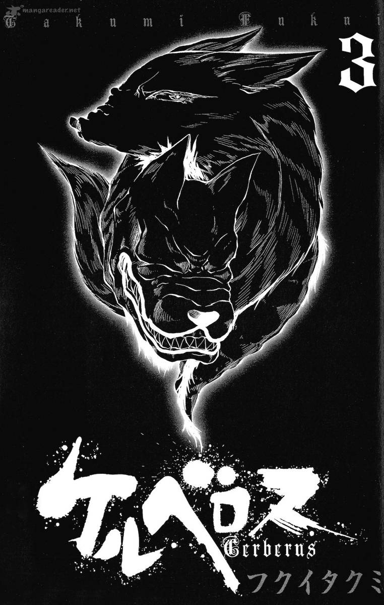 Cerberus 16 3