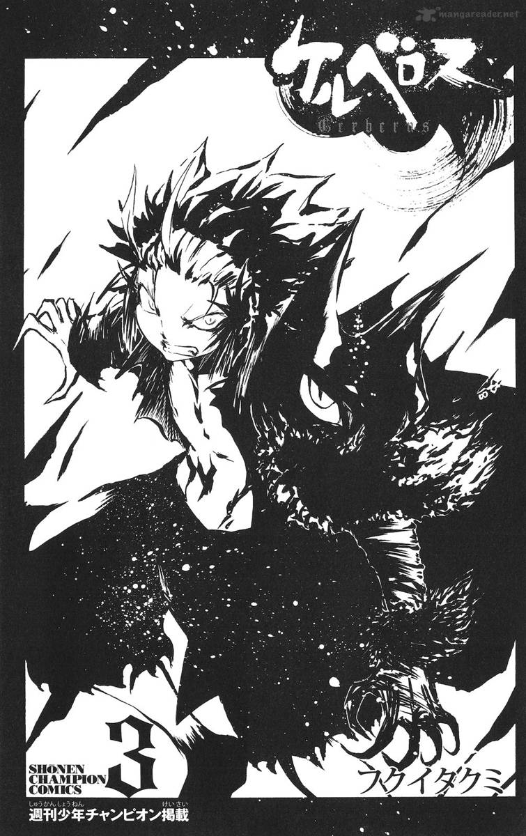 Cerberus 16 4