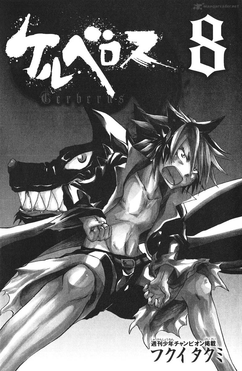 Cerberus 61 4