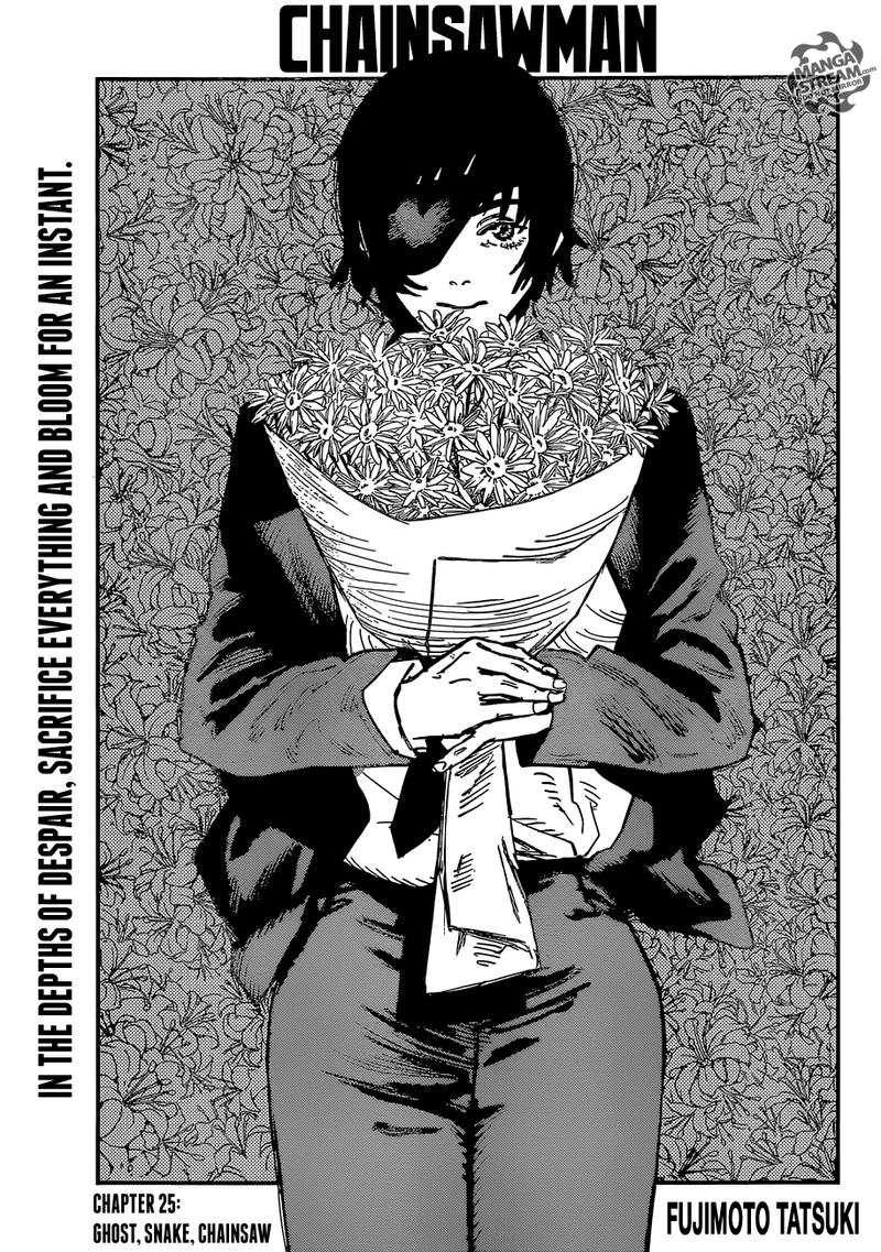 Chainsaw Man 25 1