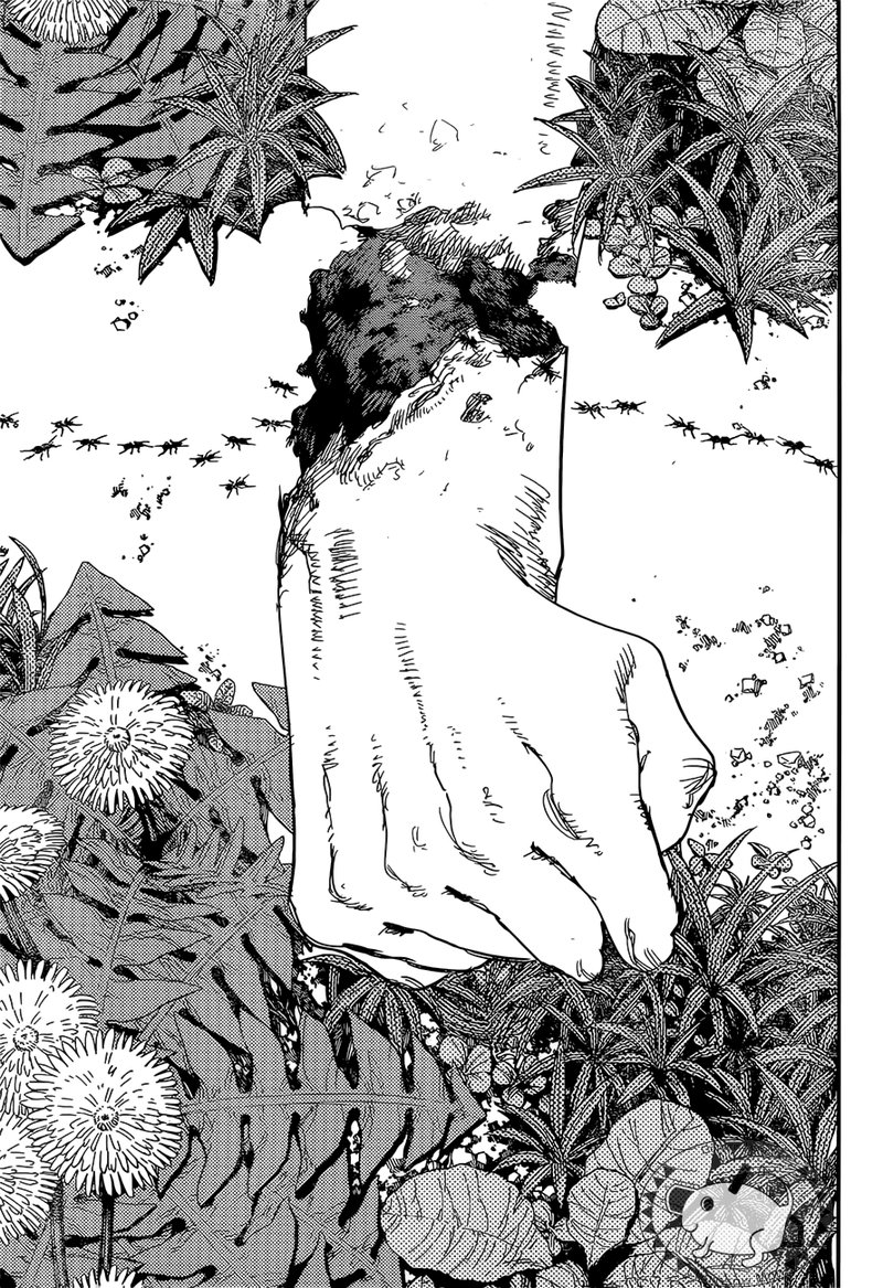 Chainsaw Man 63 17