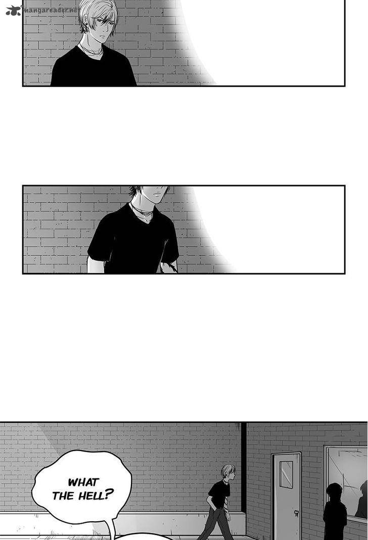 Chameleon 13 14