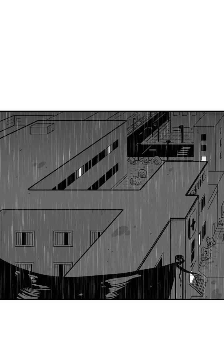 Chameleon 30 1