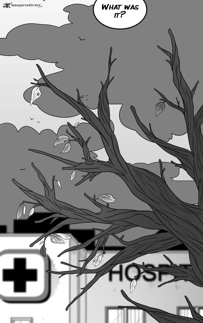 Chameleon 34 31