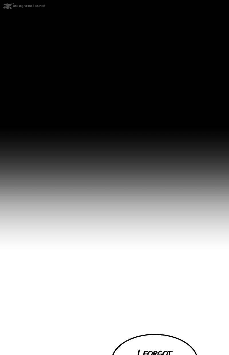 Chameleon 36 32