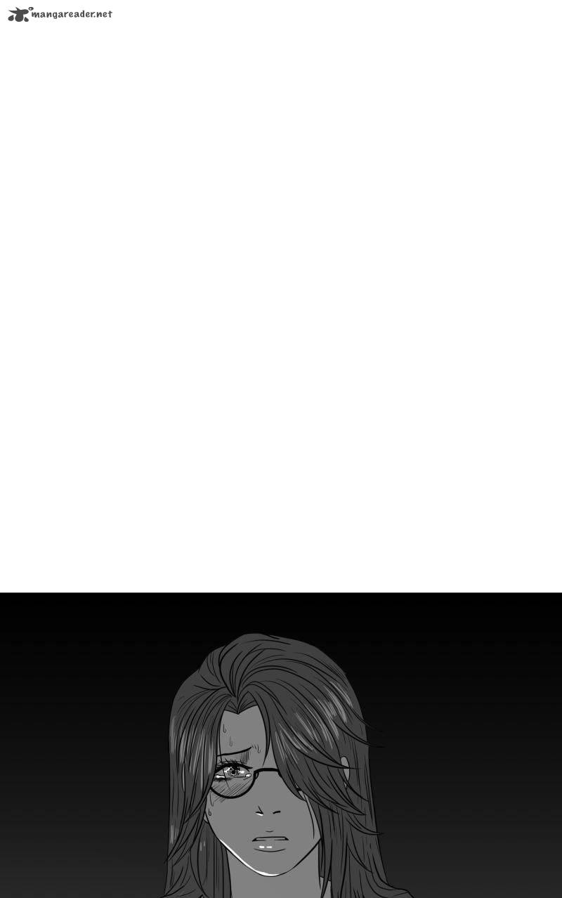 Chameleon 40 36