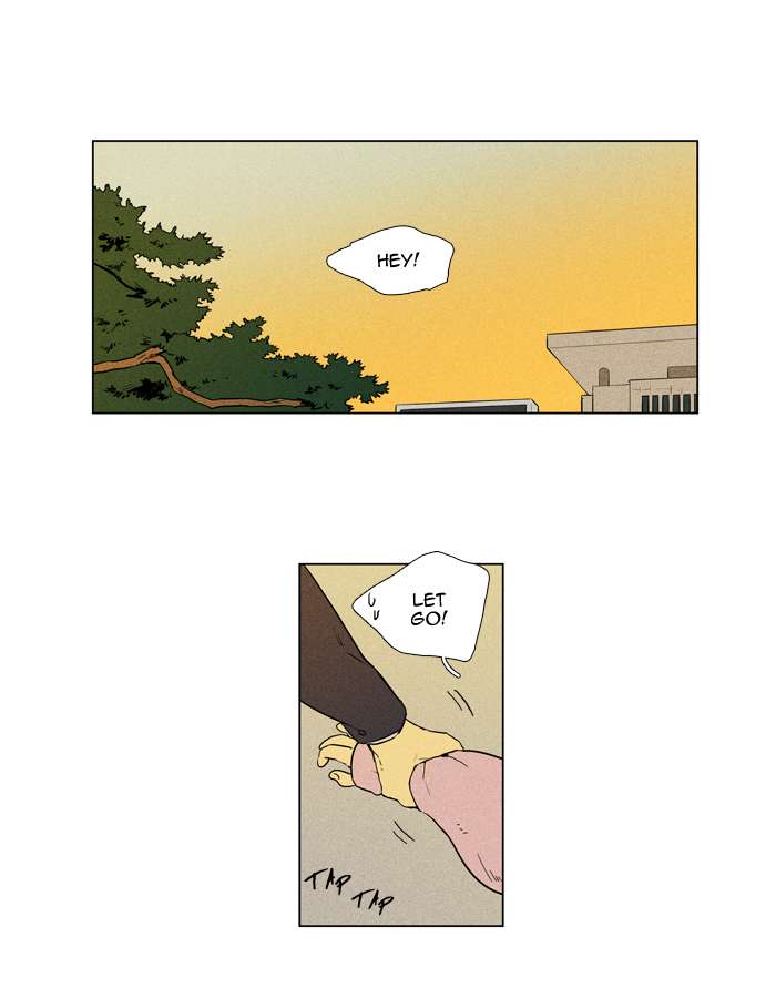 Cheese In The Trap 250 2