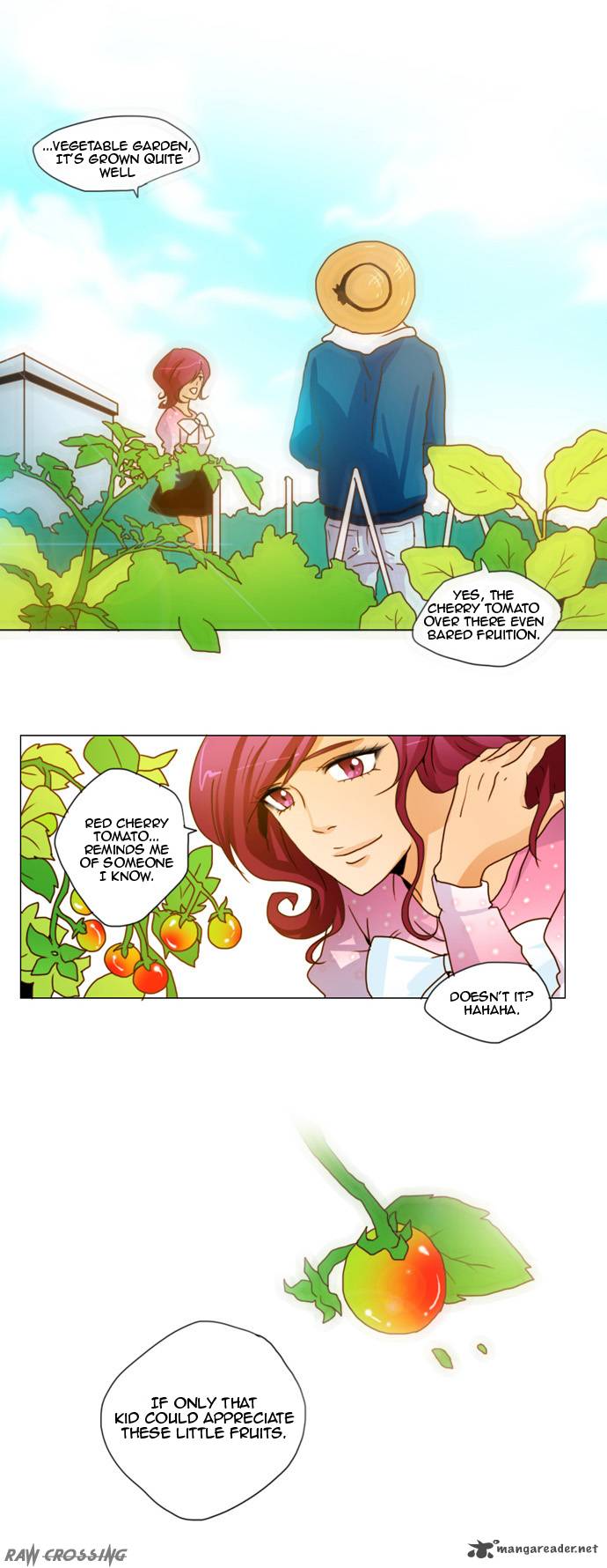 Cherry Tomato 1 34