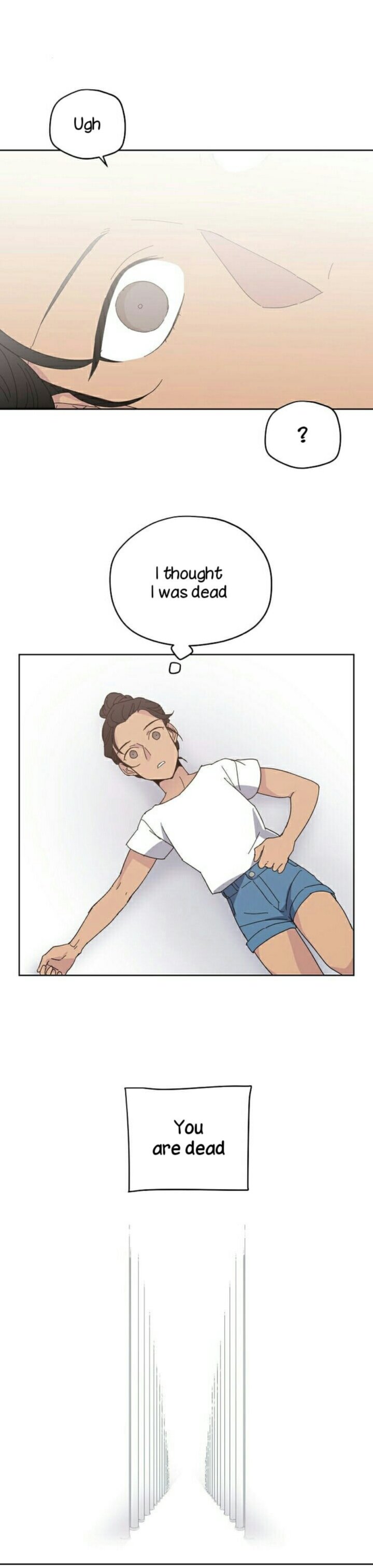 Chitra 1 3