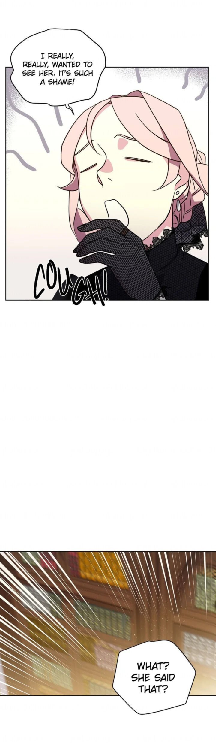 Chitra 101 8