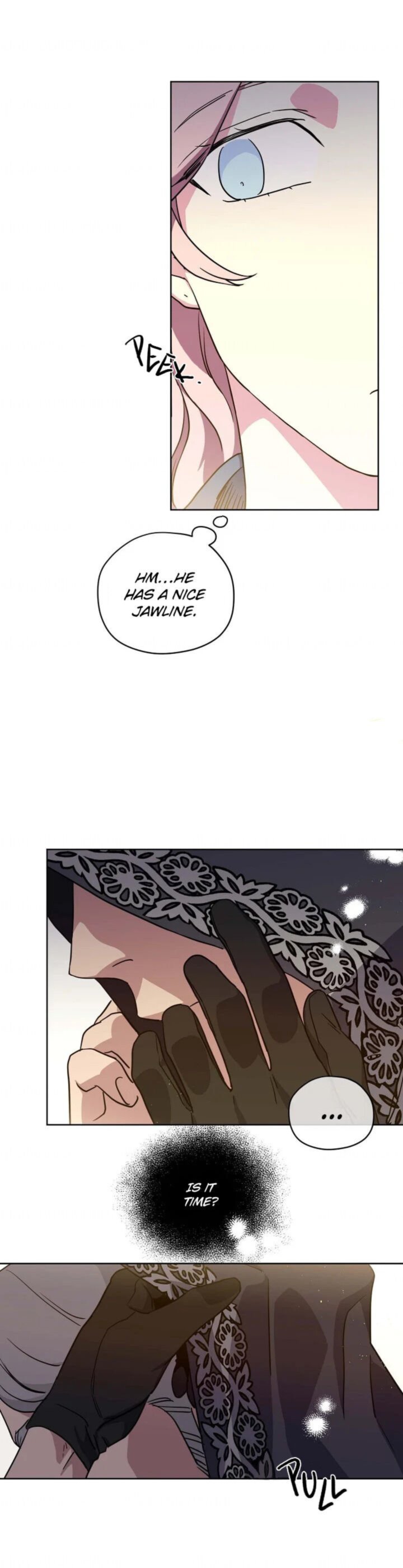 Chitra 102 21