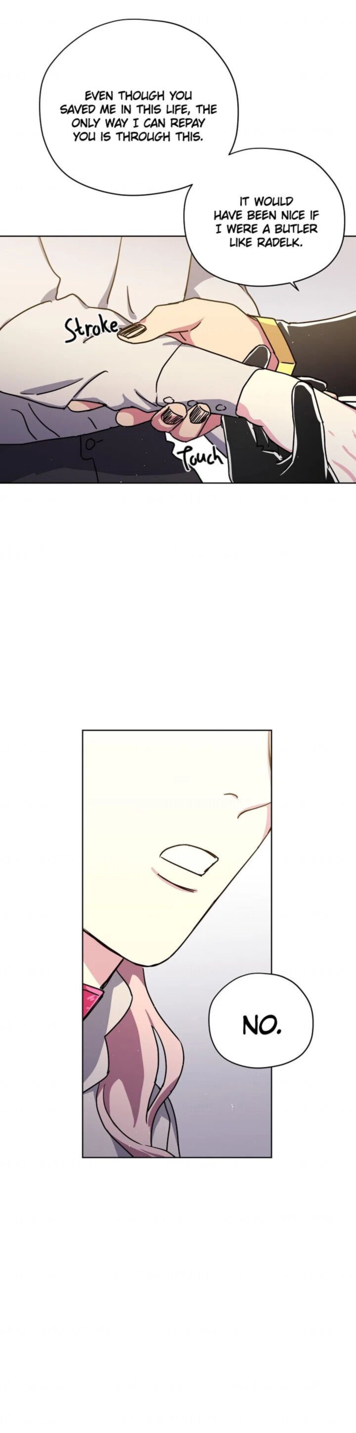 Chitra 116 29