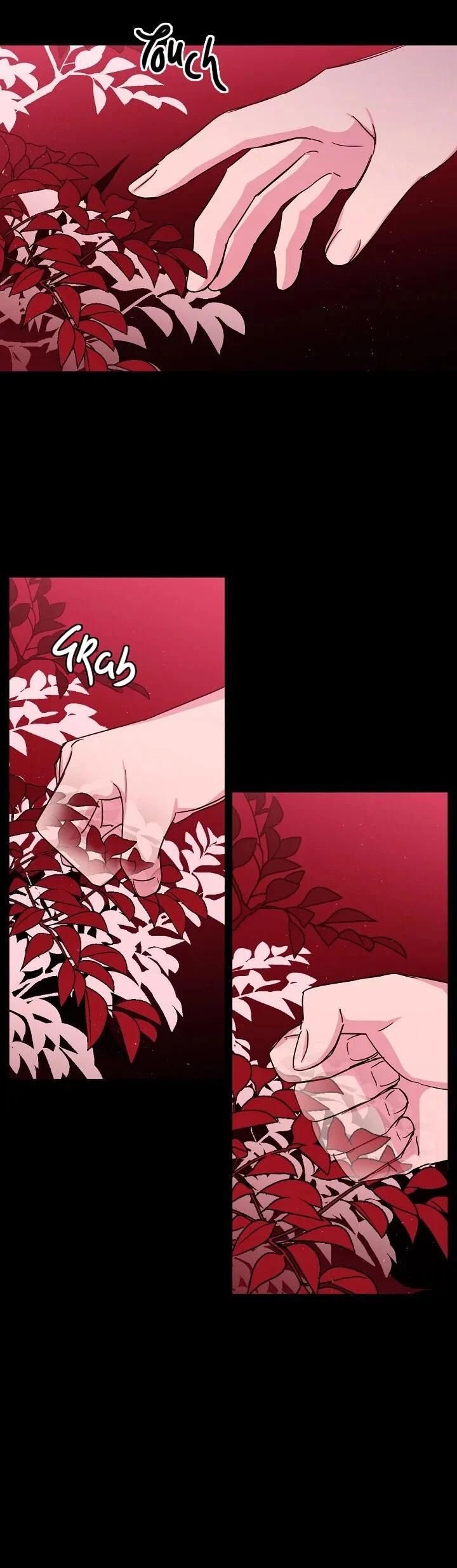 Chitra 131 24