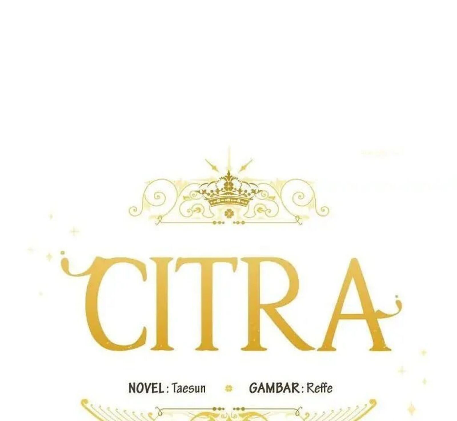 Chitra 176 79