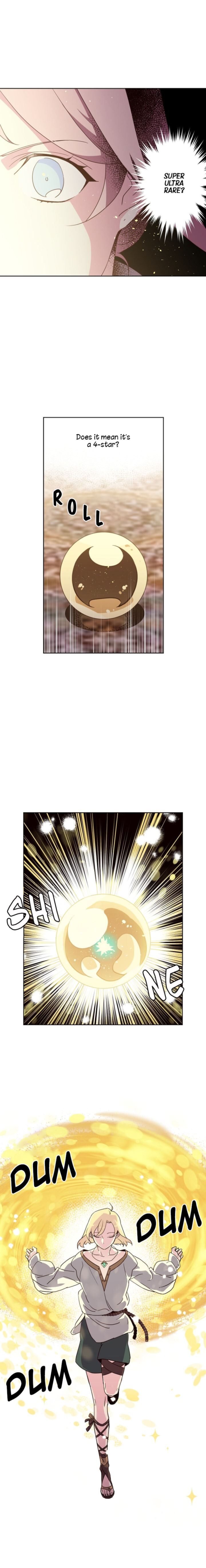 Chitra 25 5