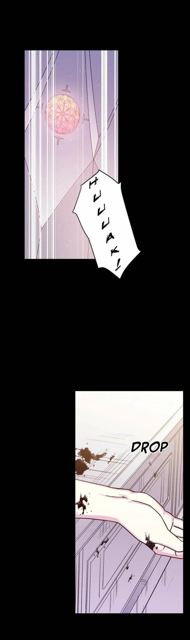 Chitra 79 24