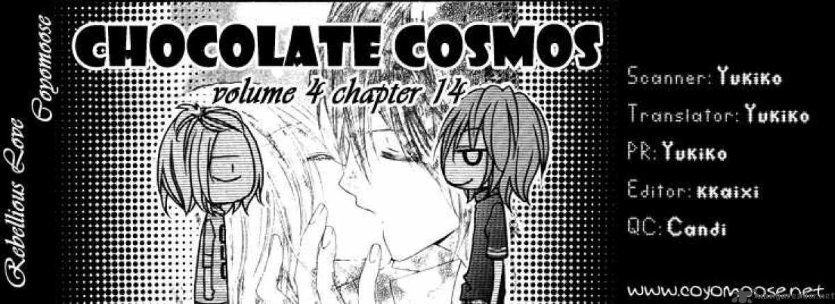 Chocolate Cosmos 14 32