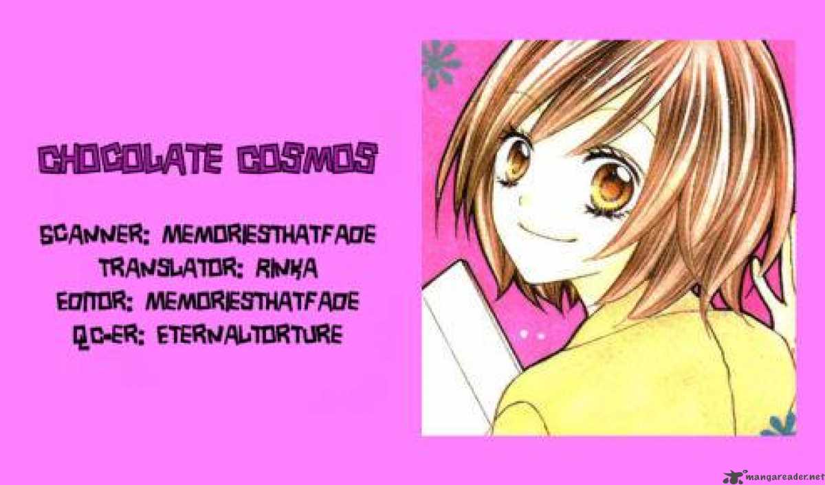 Chocolate Cosmos 8 33