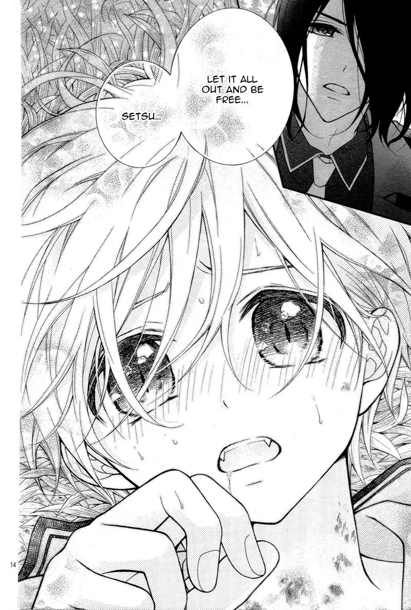 Chocolate Vampire 14 16