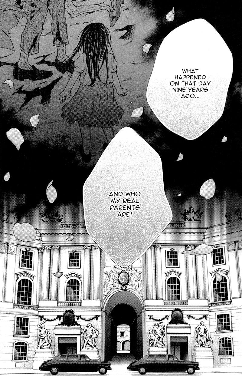 Chocolate Vampire 16 8