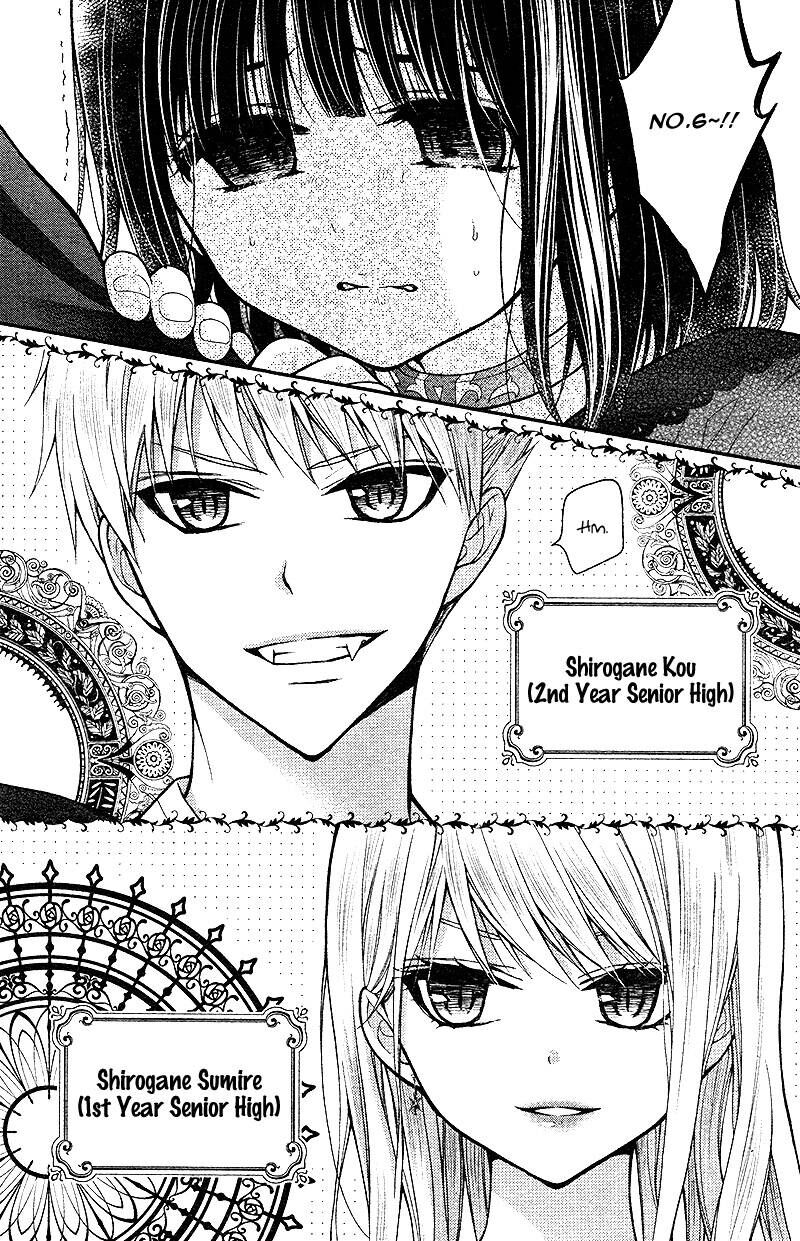 Chocolate Vampire 17 4