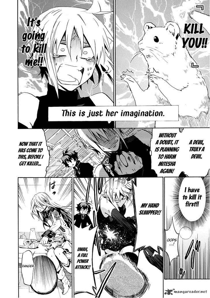 Chrome Shelled Regios 12 15
