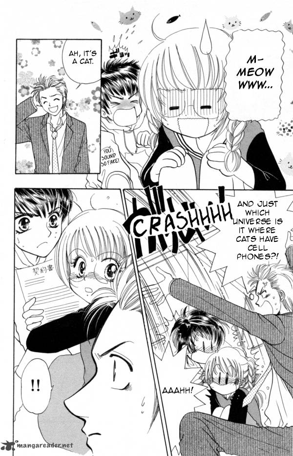 Cinderella Collection 6 2