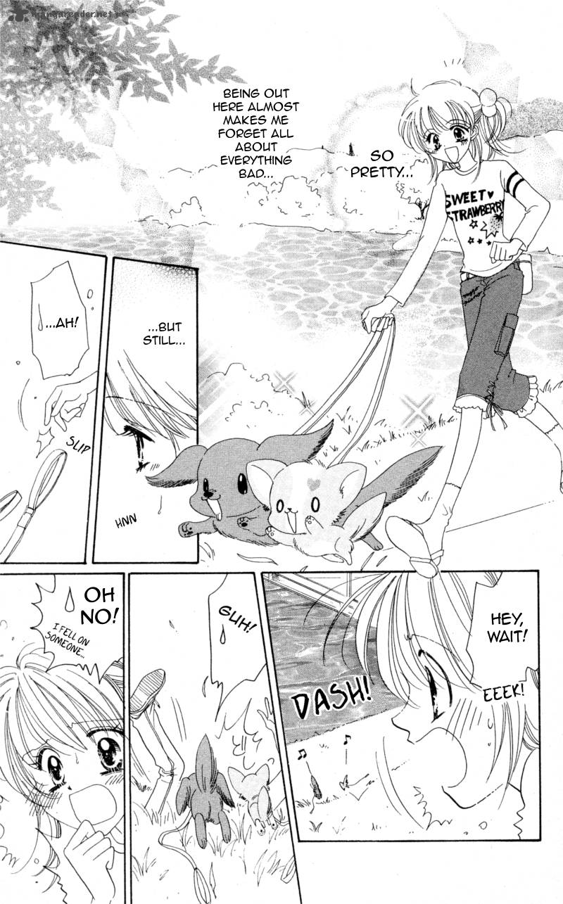 Cinderella Collection 8 13