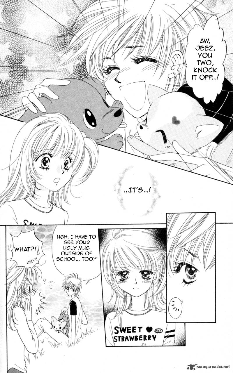 Cinderella Collection 8 14