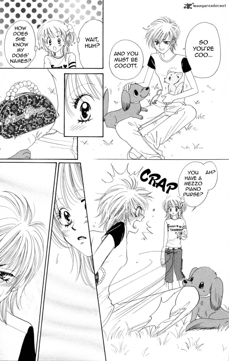 Cinderella Collection 8 15