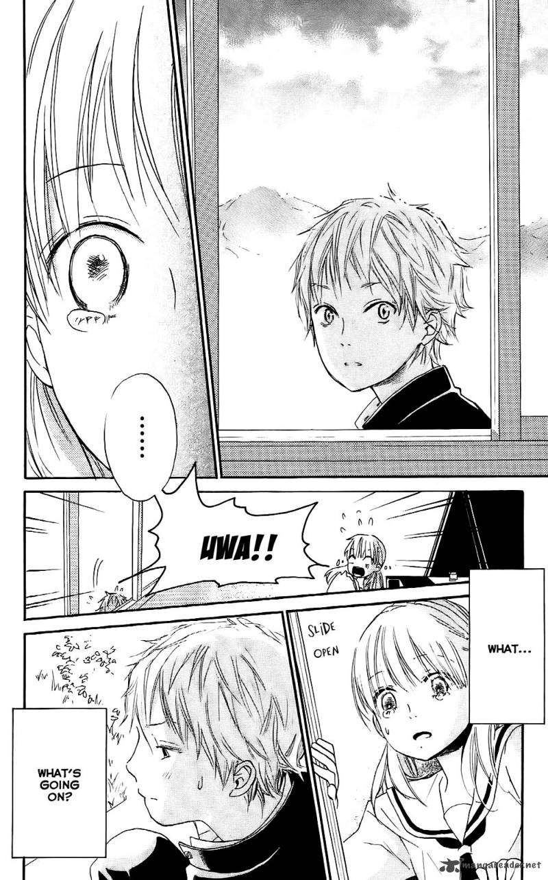 Citrus 1 40