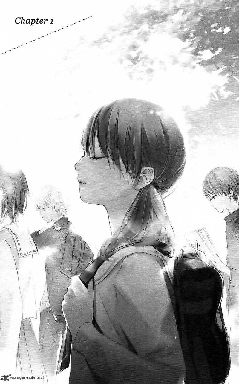 Citrus 1 6