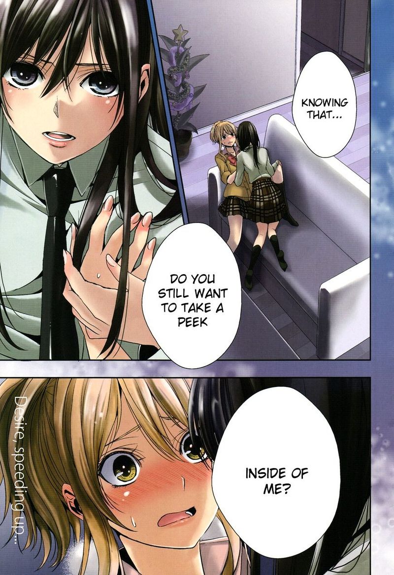 Citrus Saburouta 13 1